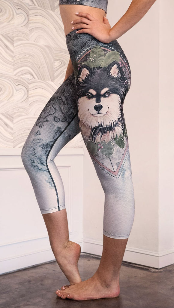 closeup left side view of model wearing capri Finnish Lapphund artwork themed leggings