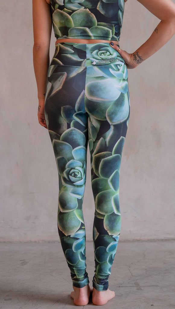 Model wearing WERKSHOP Green Envy Athleisure Leggings. The leggings are printed with a photo-real macro green succulent clusters.