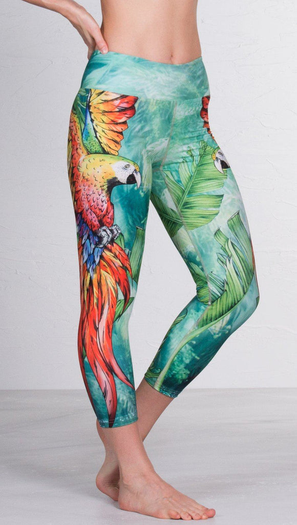 closeup front view of model wearing macaw themed capri leggings